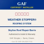 Professional team of Roofers